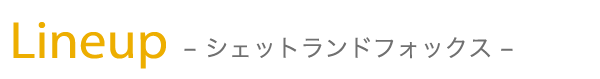 ラインナップ - シェットランドフォックス -