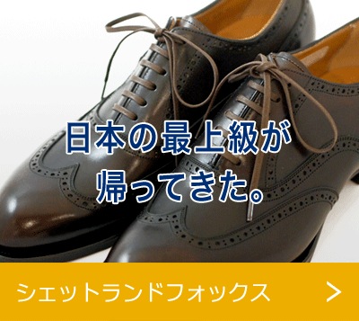 シェットランドフォックス