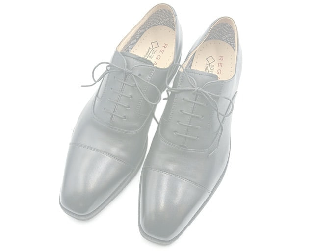 リーガル 21BLBE ストレートチップ GORE-TEX SURROUND(R)フットウェア