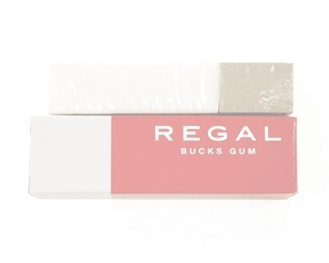 リーガル TY24 バックスガム（起毛素材用汚れ落とし）