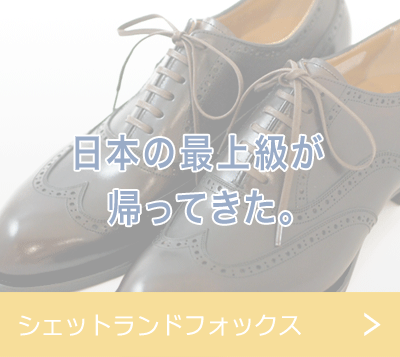 シェットランドフォックス